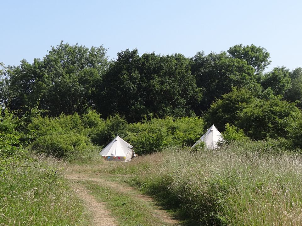 Bell tents beside the track