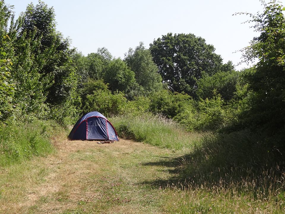 Tent on a mown path