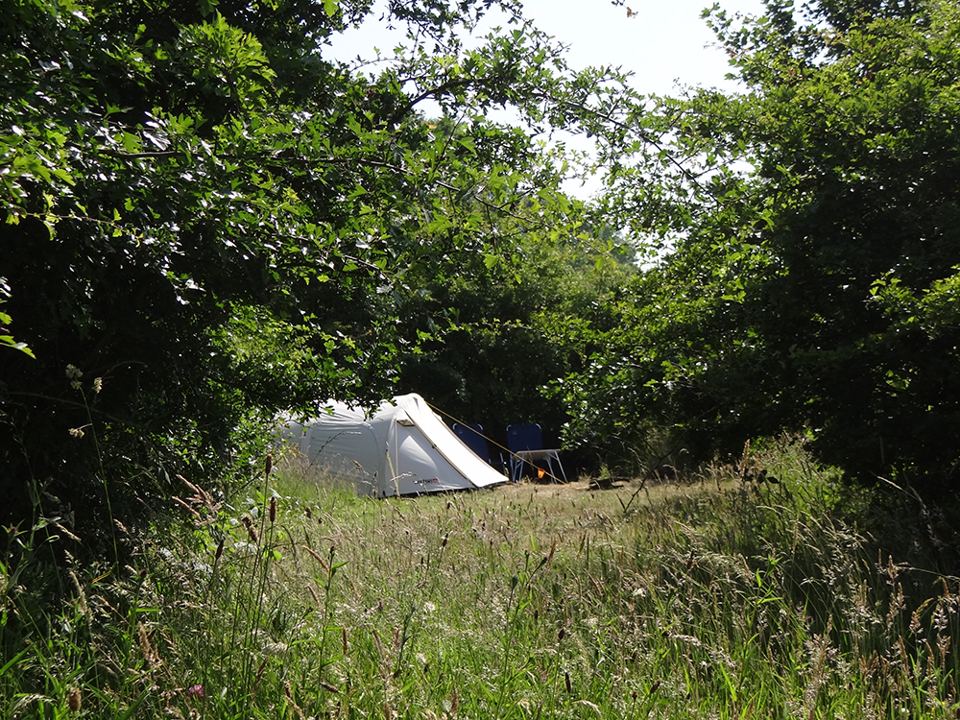 Tent under trees