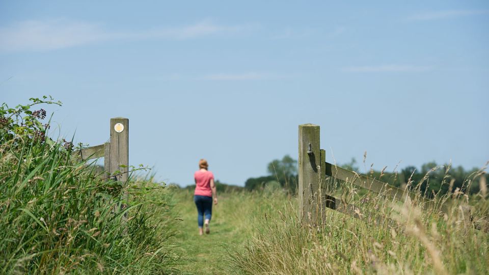 Path across the fields