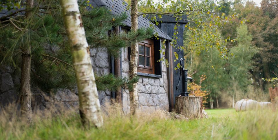 Themed hut in the trees