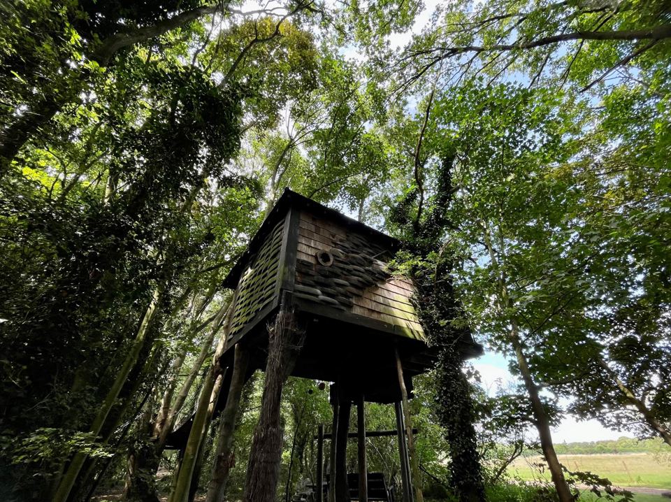 Treehouse in the woods