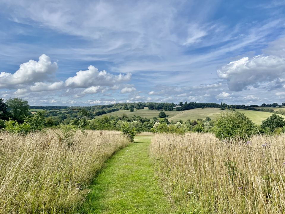 Chess Valley meadow path