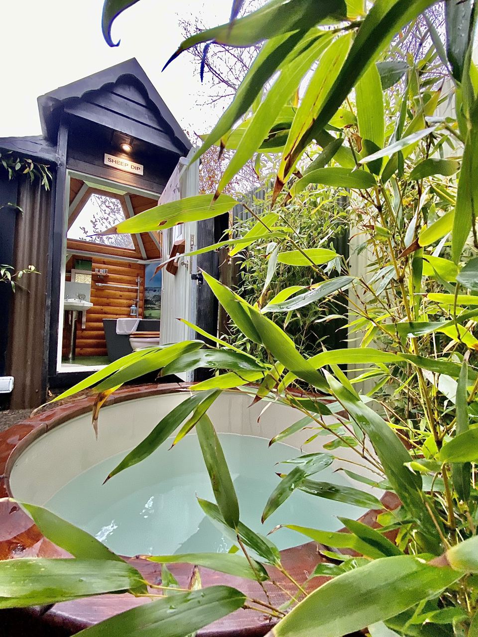 Hot tub among bamboo