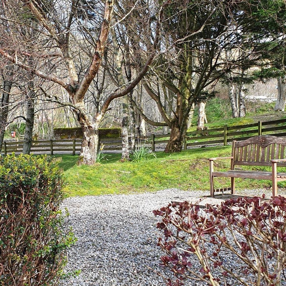 Bench among the trees