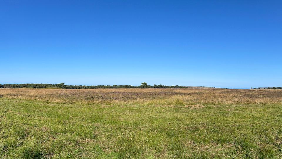 Open moorland field