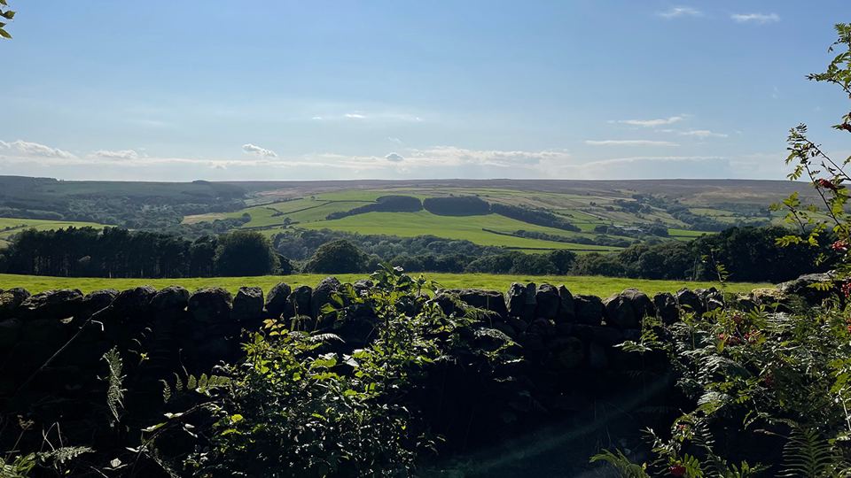 Farmland and moor view