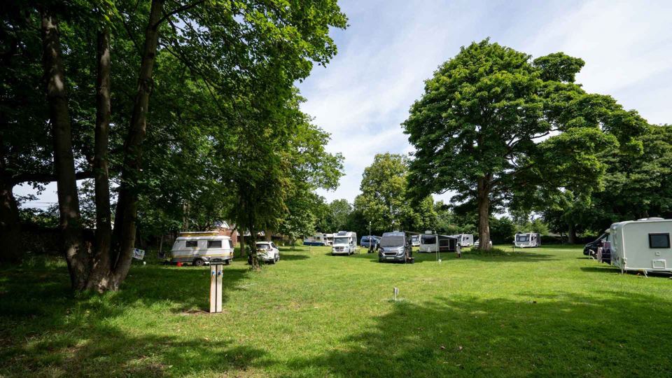 Pitches among mature trees