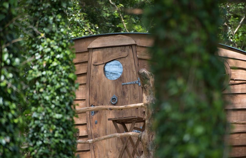 Cabin door