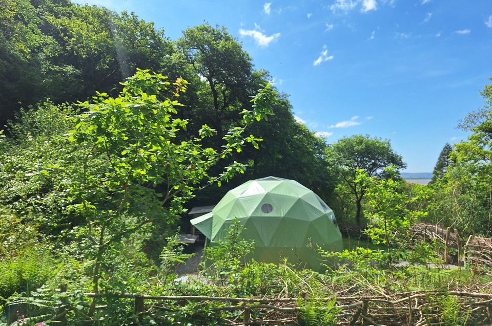 Dome among the trees