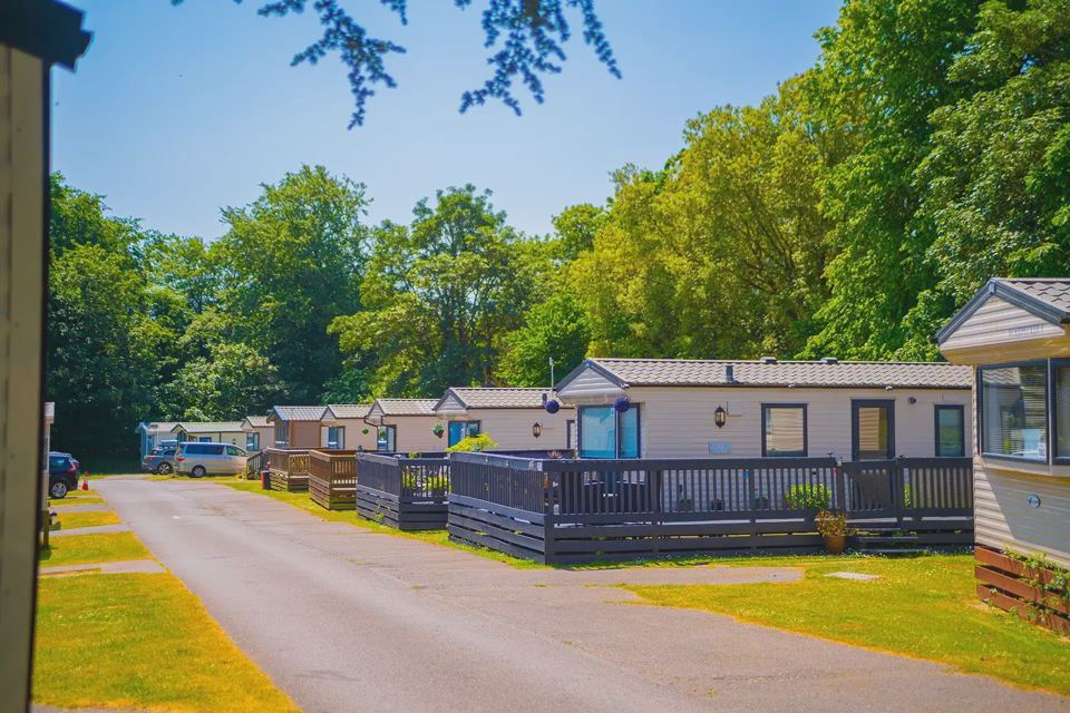 Static caravans along the tree-lined road