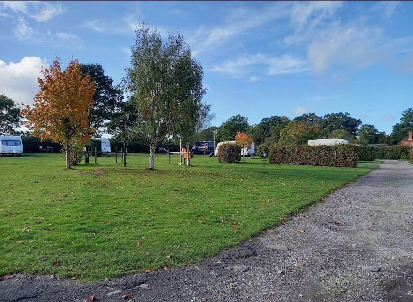 Grass pitches and trees