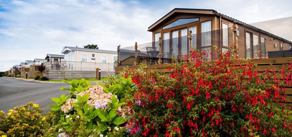 Lodge and caravans on the park