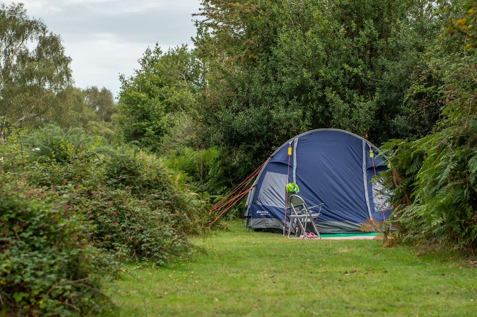Tent on a grass pitch