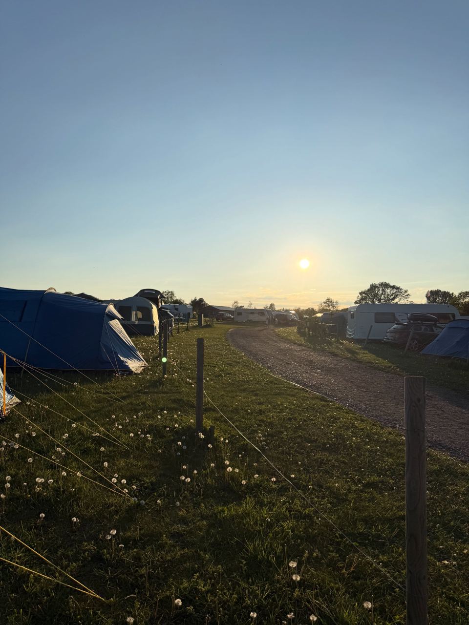 Tents on the grass at dusk