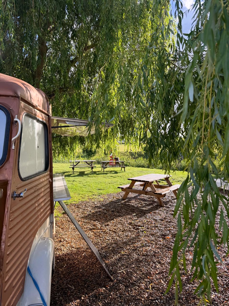 Picnic tables under the willow