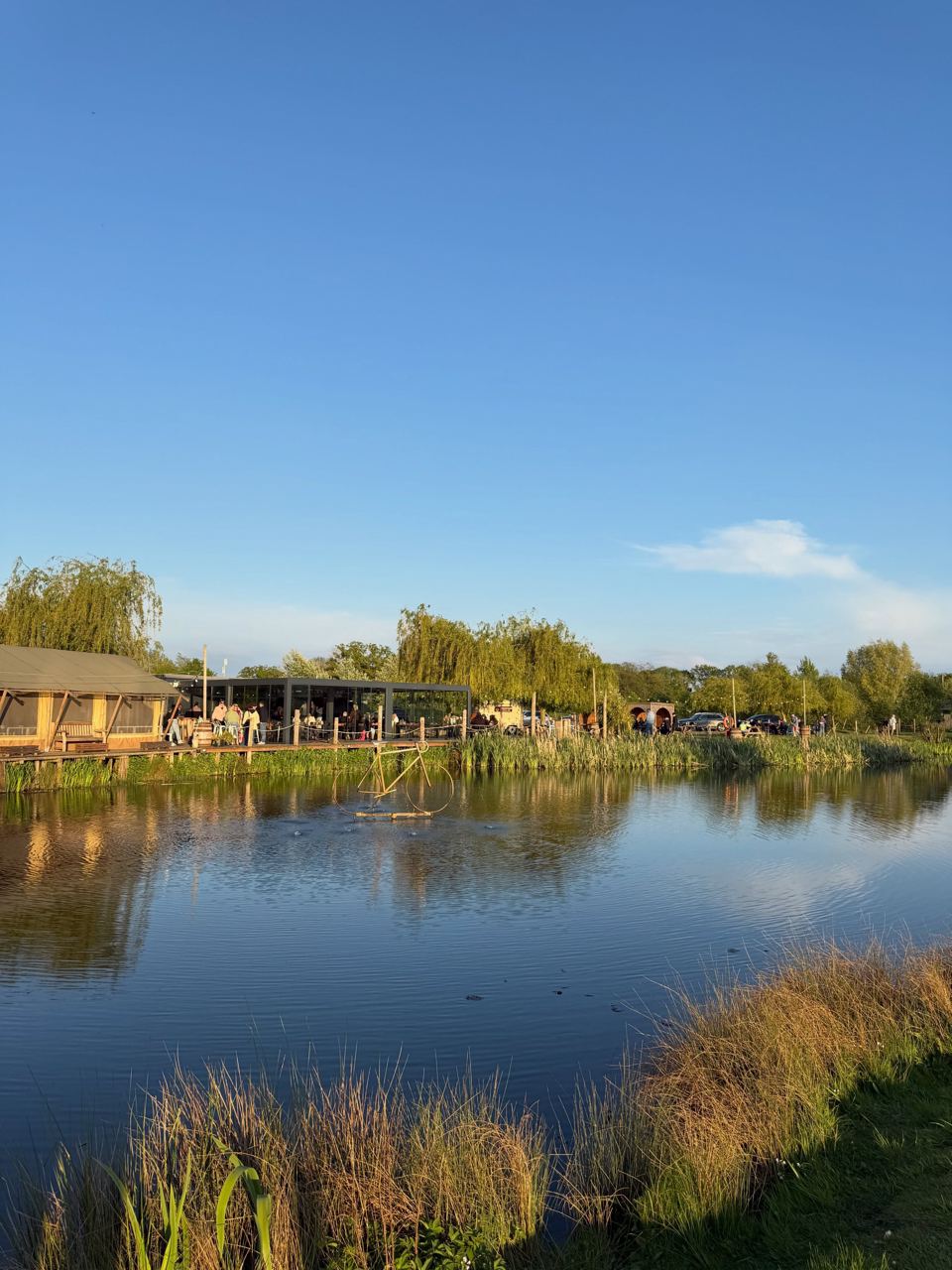 Lake and cafe in the sun