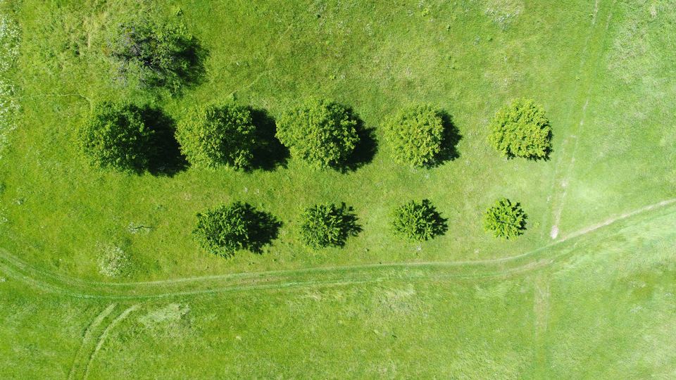 Camping field from above