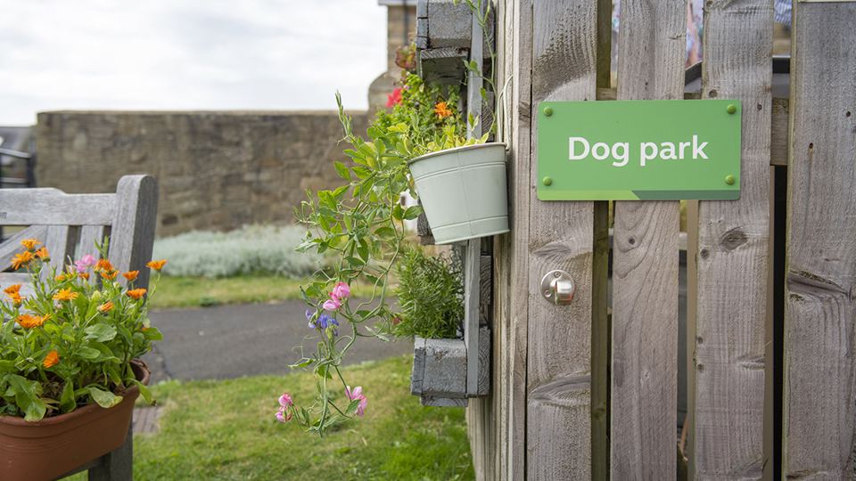 Dog park gate