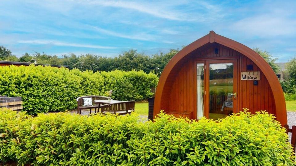 Pod with garden furniture