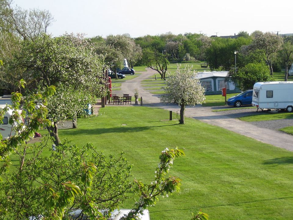 Pitches among the fruit trees