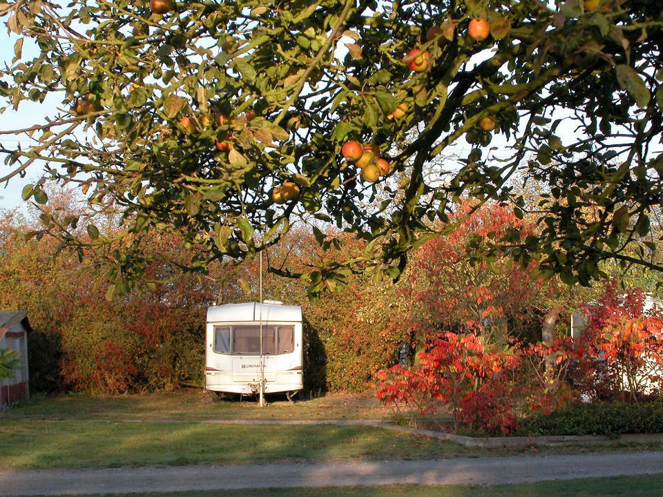 Caravan among the trees