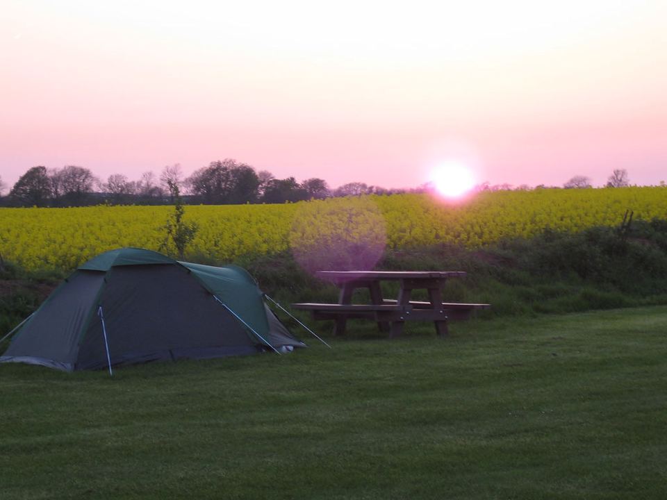 Tent and picnic table at dusk