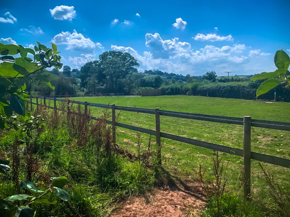 Fields beyond the fence