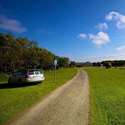 Grass pitches beside the track