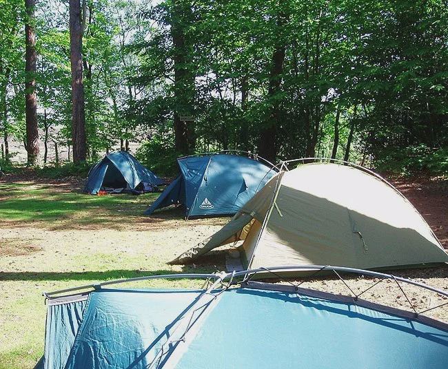 Tents in the woodland corner
