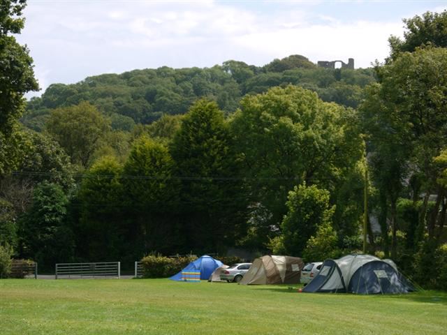 Tents on the grass pitches