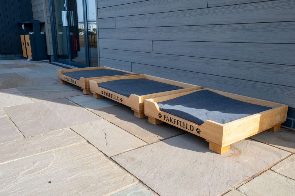 Dog beds outside the bar