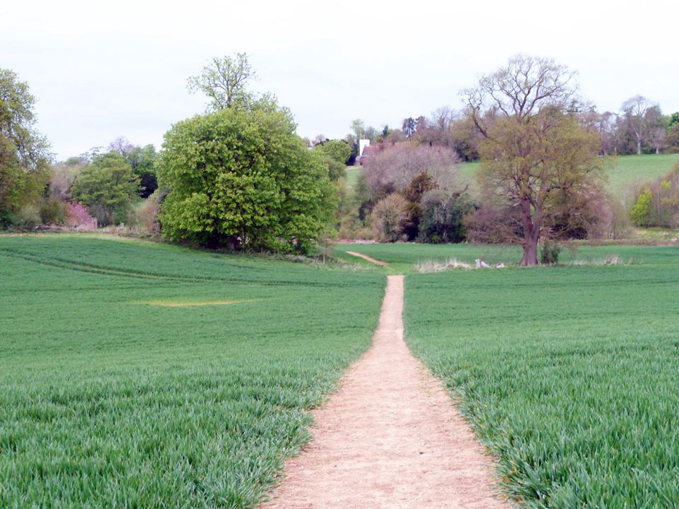 Footpath across fields nearby