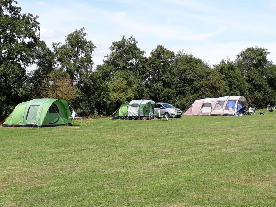 Tents on the grass field