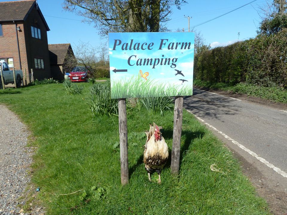 Campsite sign on Down Court Road