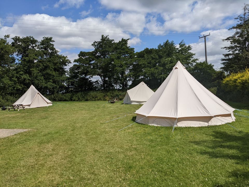 Bell tents in the field