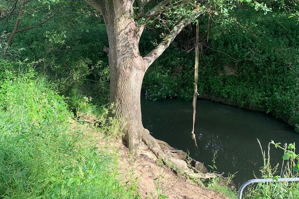 Rope swing over the river