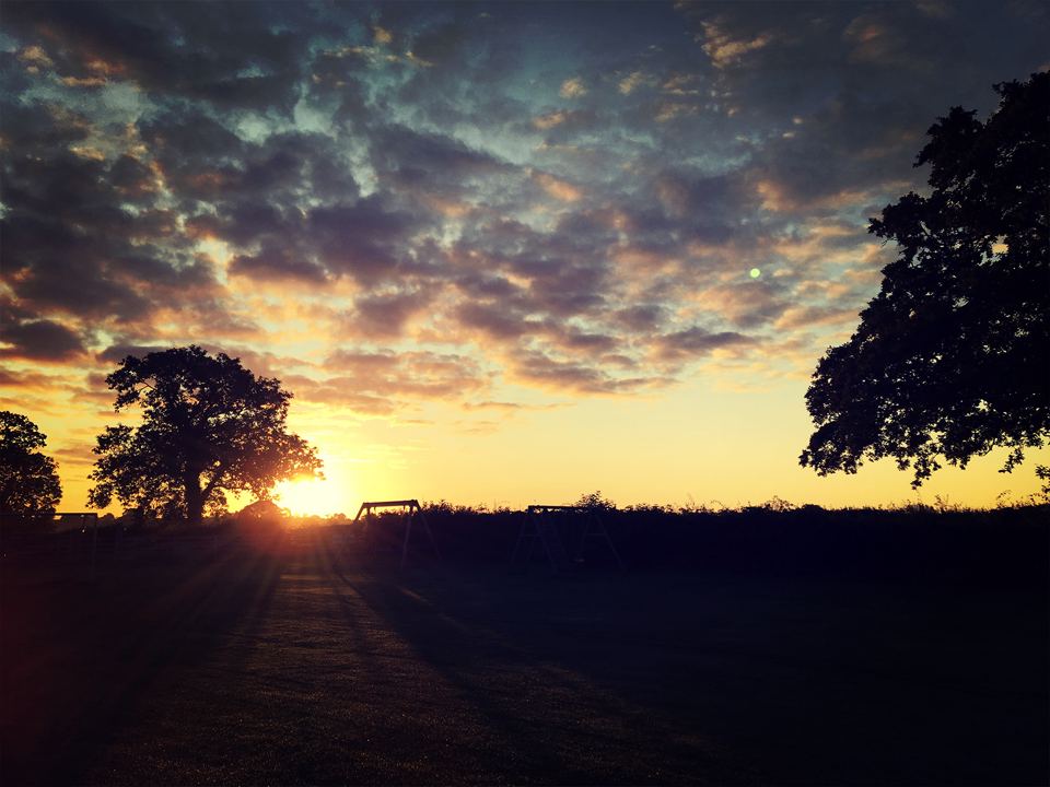 Sunset over the trees
