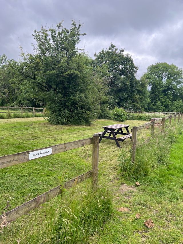 Small paddock by the fence
