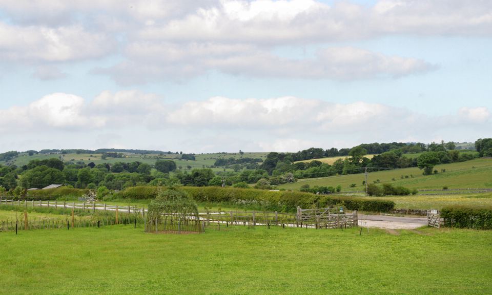 Fields and hills around the pods