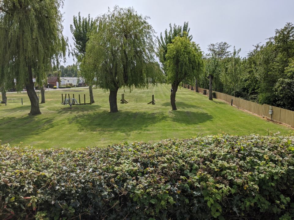 Grassy parkland and trees