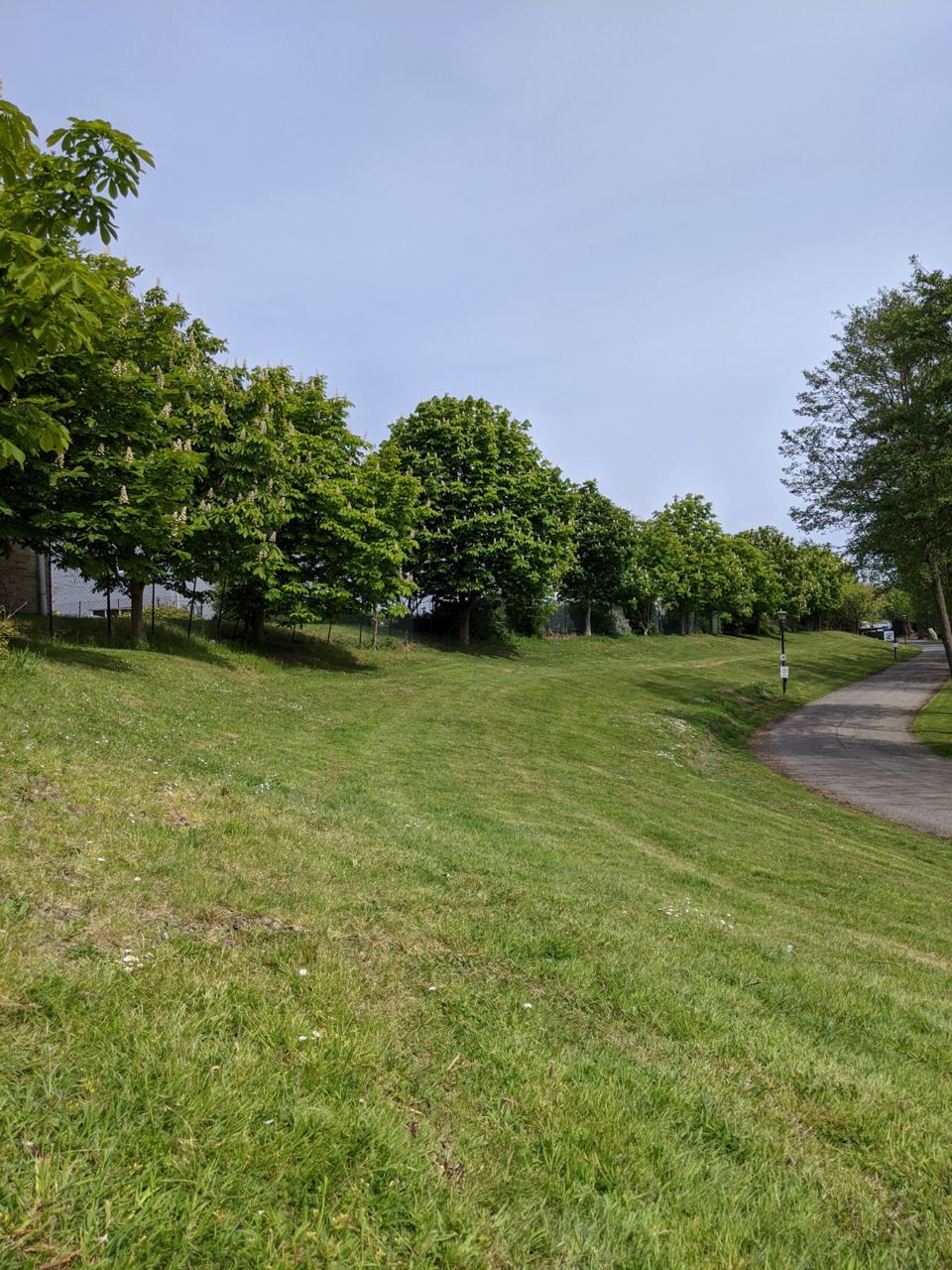 Grass bank and path