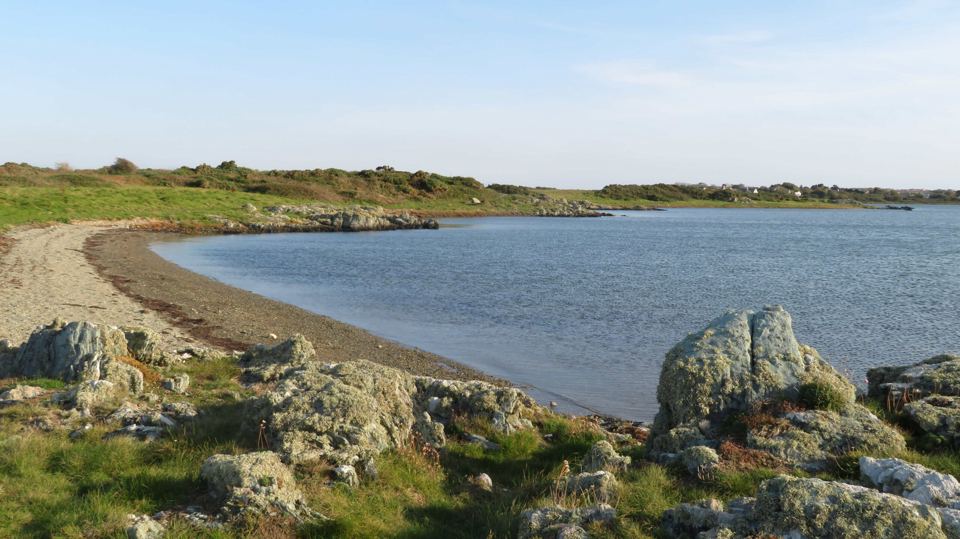 Shore beside the site
