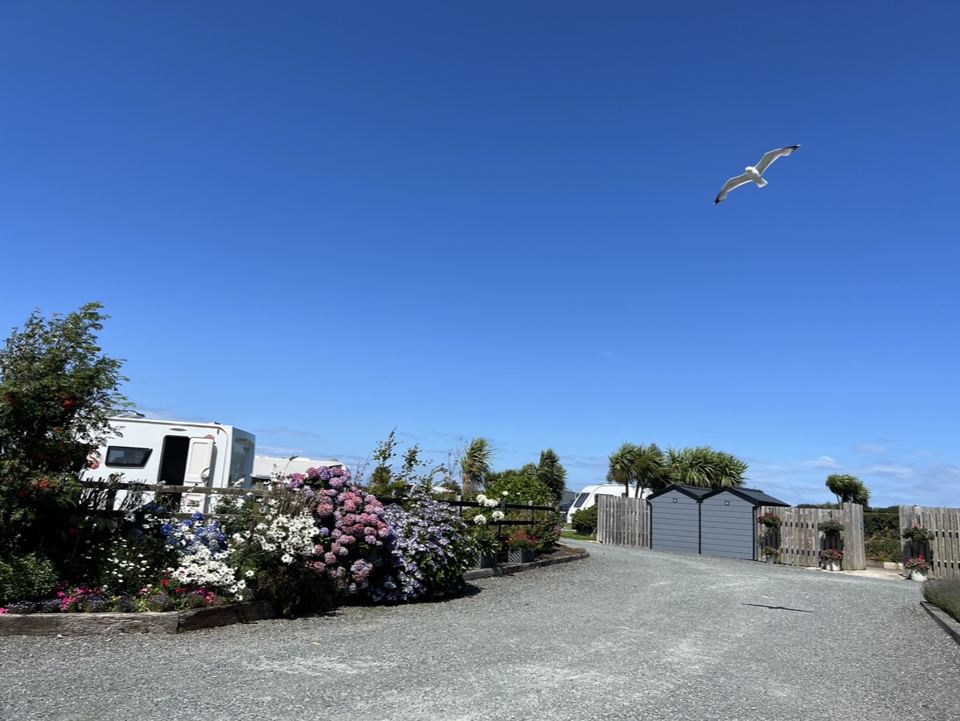 Motorhome among the shrubs
