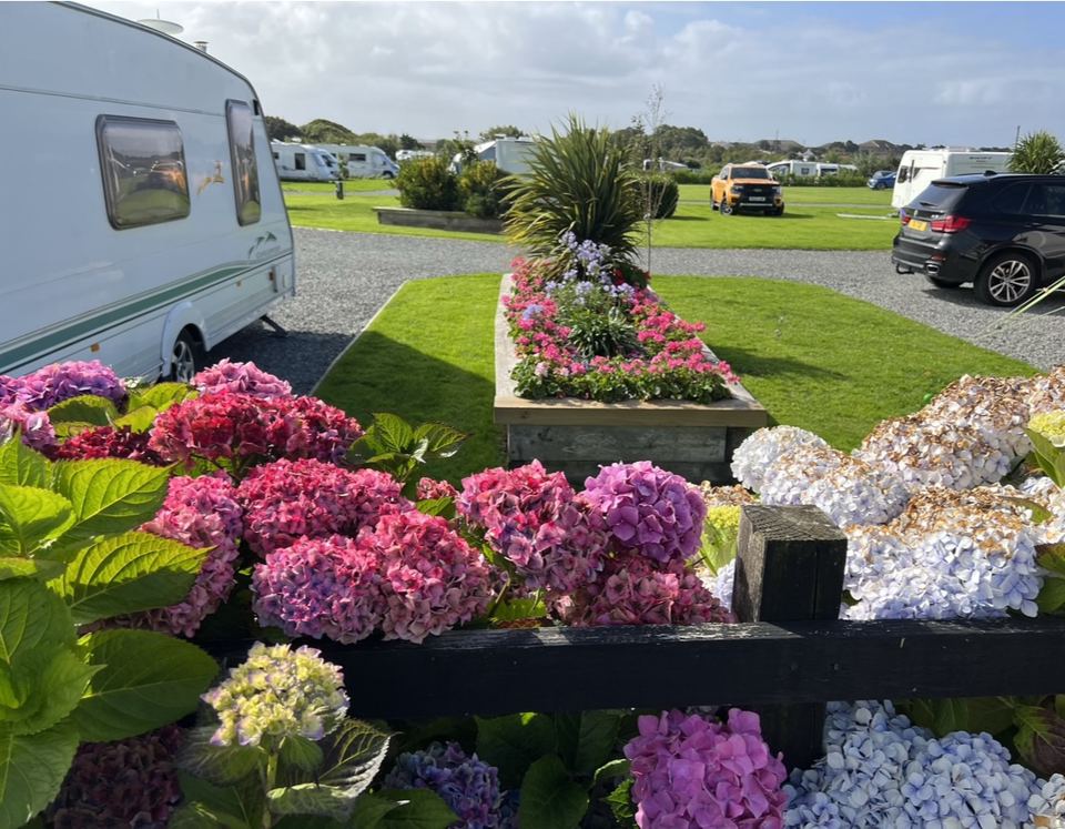 Caravan on its pitch
