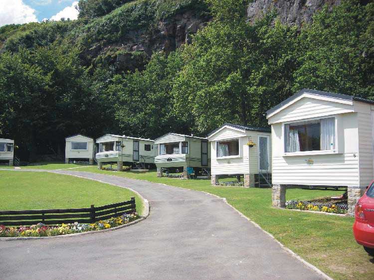 Caravans along the road under trees