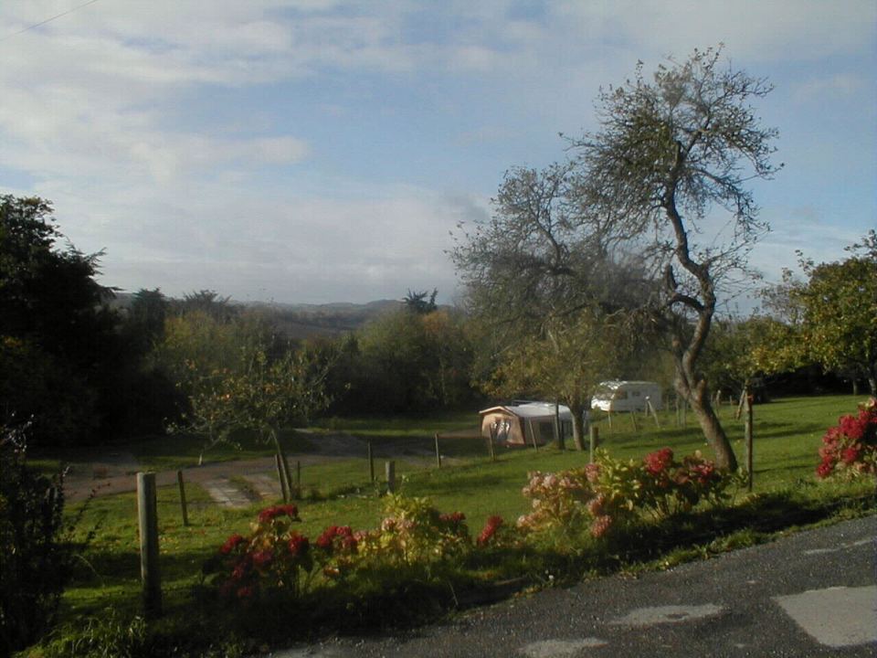 Orchard field and pitches beyond