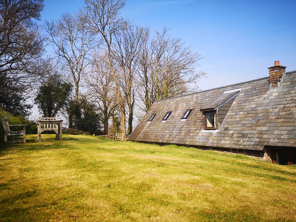 Lawn beside the farm barn