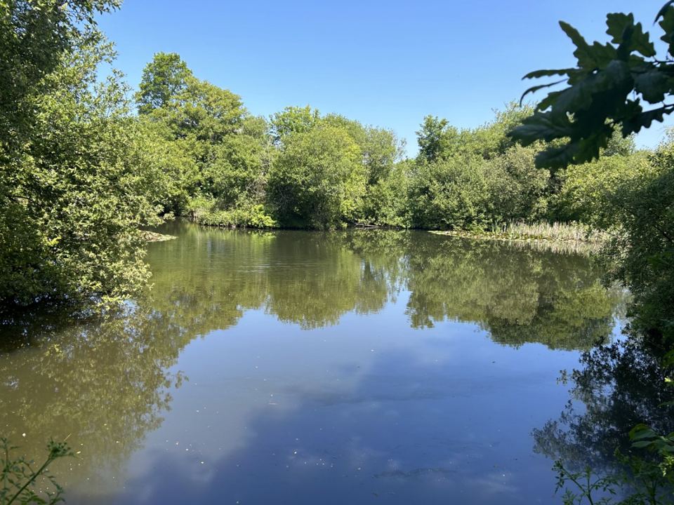 Fishing lake in the woods