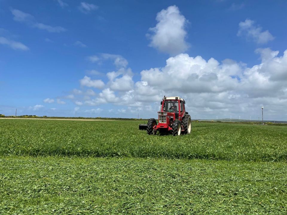 Tractor in a farm field